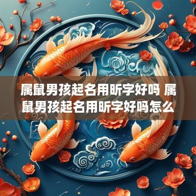 属鼠男孩起名用昕字好吗 属鼠男孩起名用昕字好吗怎么样
