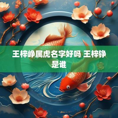 王梓峥属虎名字好吗 王梓铮是谁