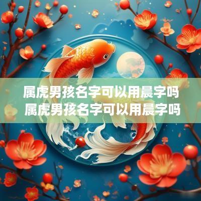 属虎男孩名字可以用晨字吗 属虎男孩名字可以用晨字吗好吗