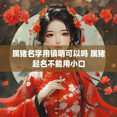 属猪名字用镇明可以吗 属猪起名不能用小口