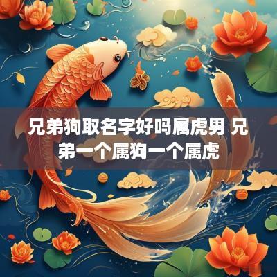兄弟狗取名字好吗属虎男 兄弟一个属狗一个属虎