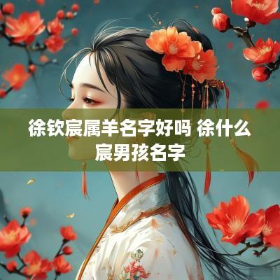 徐钦宸属羊名字好吗 徐什么宸男孩名字
