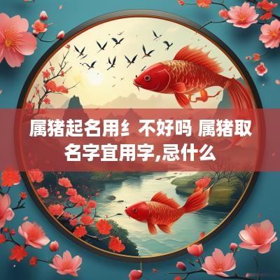 属猪起名用纟不好吗 属猪取名字宜用字,忌什么