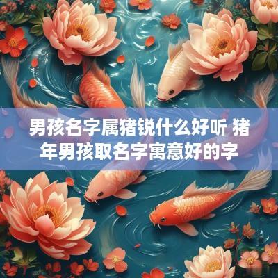 男孩名字属猪锐什么好听 猪年男孩取名字寓意好的字