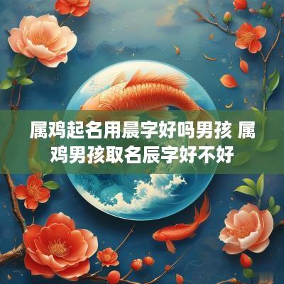属鸡起名用晨字好吗男孩 属鸡男孩取名辰字好不好