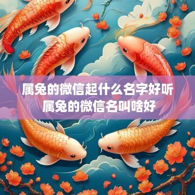 属兔的微信起什么名字好听 属兔的微信名叫啥好