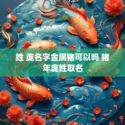 姓 庞名字金属猪可以吗 猪年庞姓取名