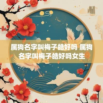 属狗名字叫梅子皓好吗 属狗名字叫梅子皓好吗女生