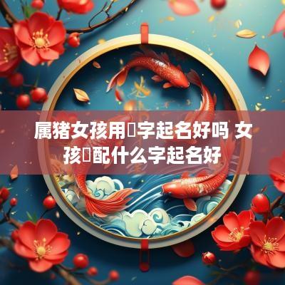 属猪女孩用璟字起名好吗 女孩璟配什么字起名好