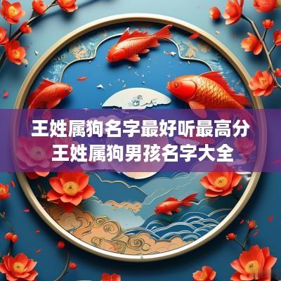 王姓属狗名字最好听最高分 王姓属狗男孩名字大全