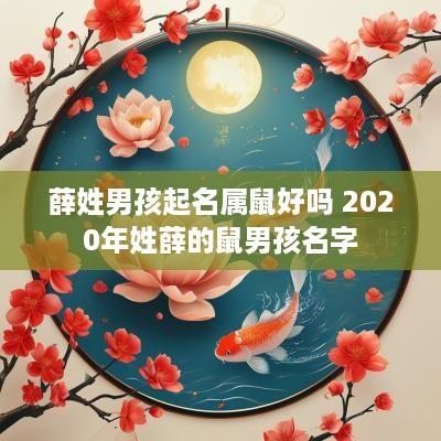 薛姓男孩起名属鼠好吗 2025年姓薛的鼠男孩名字