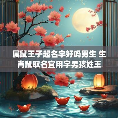 属鼠王子起名字好吗男生 生肖鼠取名宜用字男孩姓王