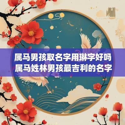 属马男孩取名字用琳字好吗 属马姓林男孩最吉利的名字