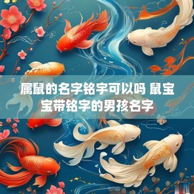 属鼠的名字铭宇可以吗 鼠宝宝带铭字的男孩名字