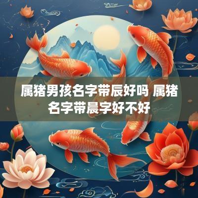 属猪男孩名字带辰好吗 属猪名字带晨字好不好