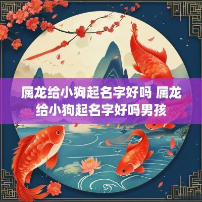 属龙给小狗起名字好吗 属龙给小狗起名字好吗男孩