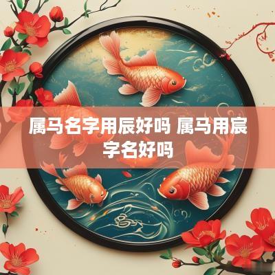 属马名字用辰好吗 属马用宸字名好吗