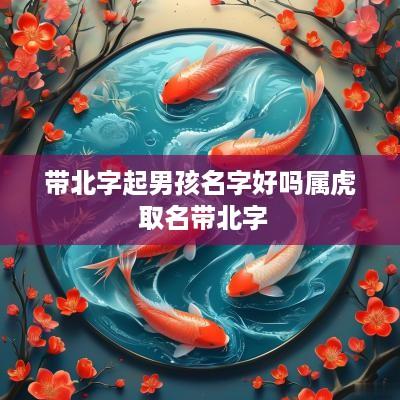 带北字起男孩名字好吗属虎 取名带北字