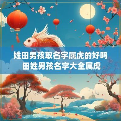 姓田男孩取名字属虎的好吗 田姓男孩名字大全属虎