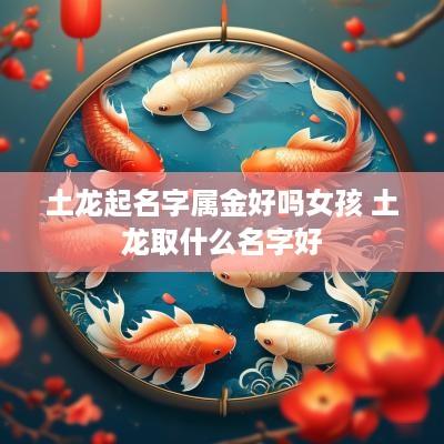 土龙起名字属金好吗女孩 土龙取什么名字好