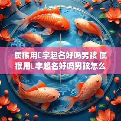 属猴用晞字起名好吗男孩 属猴用晞字起名好吗男孩怎么取