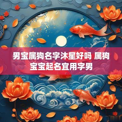 男宝属狗名字沐星好吗 属狗宝宝起名宜用字男