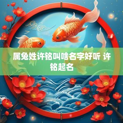 属兔姓许铭叫啥名字好听 许铭起名