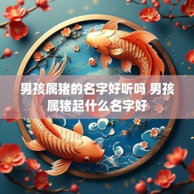 男孩属猪的名字好听吗 男孩属猪起什么名字好