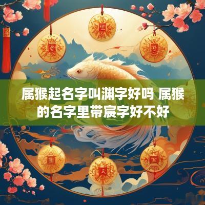 属猴起名字叫渊字好吗 属猴的名字里带宸字好不好