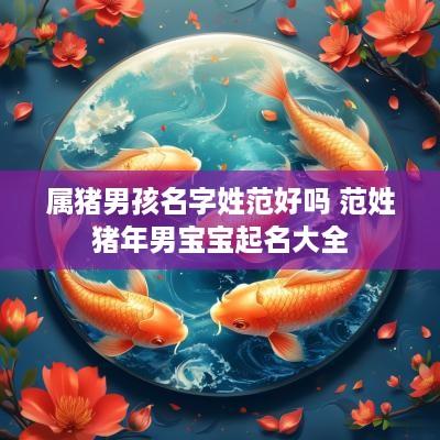 属猪男孩名字姓范好吗 范姓猪年男宝宝起名大全