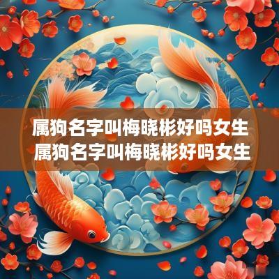 属狗名字叫梅晓彬好吗女生 属狗名字叫梅晓彬好吗女生