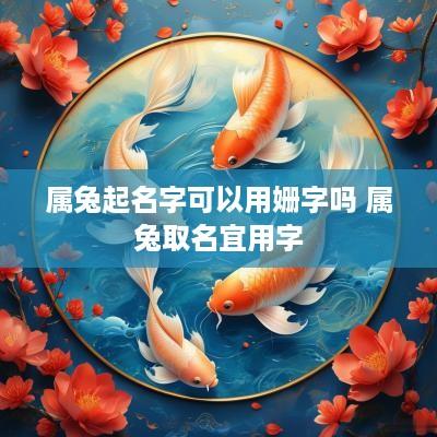 属兔起名字可以用姗字吗 属兔取名宜用字
