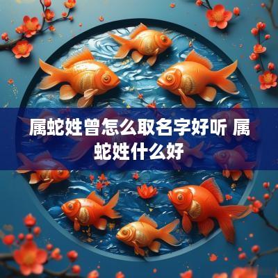 属蛇姓曾怎么取名字好听 属蛇姓什么好
