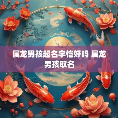 属龙男孩起名字恺好吗 属龙男孩取名