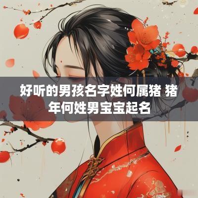 好听的男孩名字姓何属猪 猪年何姓男宝宝起名