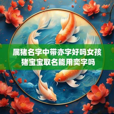 属猪名字中带亦字好吗女孩 猪宝宝取名能用奕字吗