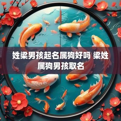 姓梁男孩起名属狗好吗 梁姓属狗男孩取名