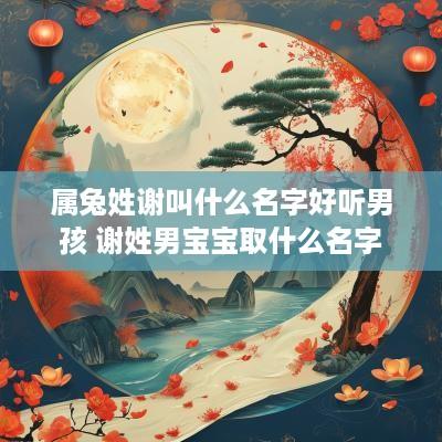 属兔姓谢叫什么名字好听男孩 谢姓男宝宝取什么名字