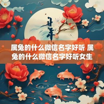 属兔的什么微信名字好听 属兔的什么微信名字好听女生