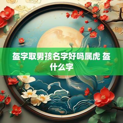 盔字取男孩名字好吗属虎 盔什么字