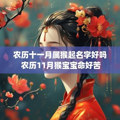 农历十一月属猴起名字好吗 农历11月猴宝宝命好苦
