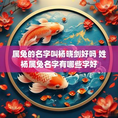 属兔的名字叫杨晓剑好吗 姓杨属兔名字有哪些字好