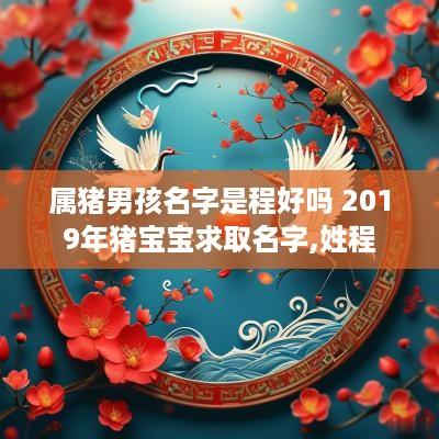 属猪男孩名字是程好吗 2019年猪宝宝求取名字,姓程