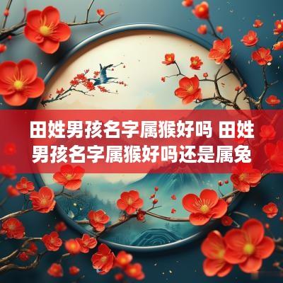田姓男孩名字属猴好吗 田姓男孩名字属猴好吗还是属兔