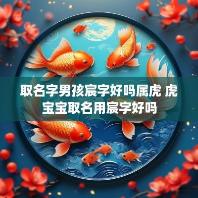 取名字男孩宸字好吗属虎 虎宝宝取名用宸字好吗