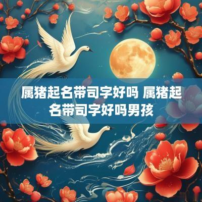 属猪起名带司字好吗 属猪起名带司字好吗男孩