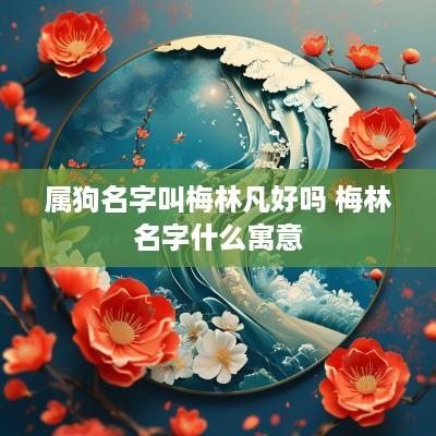 属狗名字叫梅林凡好吗 梅林名字什么寓意