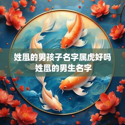 姓凰的男孩子名字属虎好吗 姓凰的男生名字