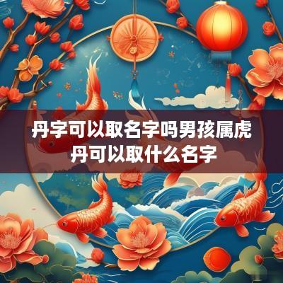丹字可以取名字吗男孩属虎 丹可以取什么名字