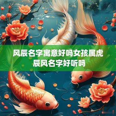 风辰名字寓意好吗女孩属虎 辰风名字好听吗
